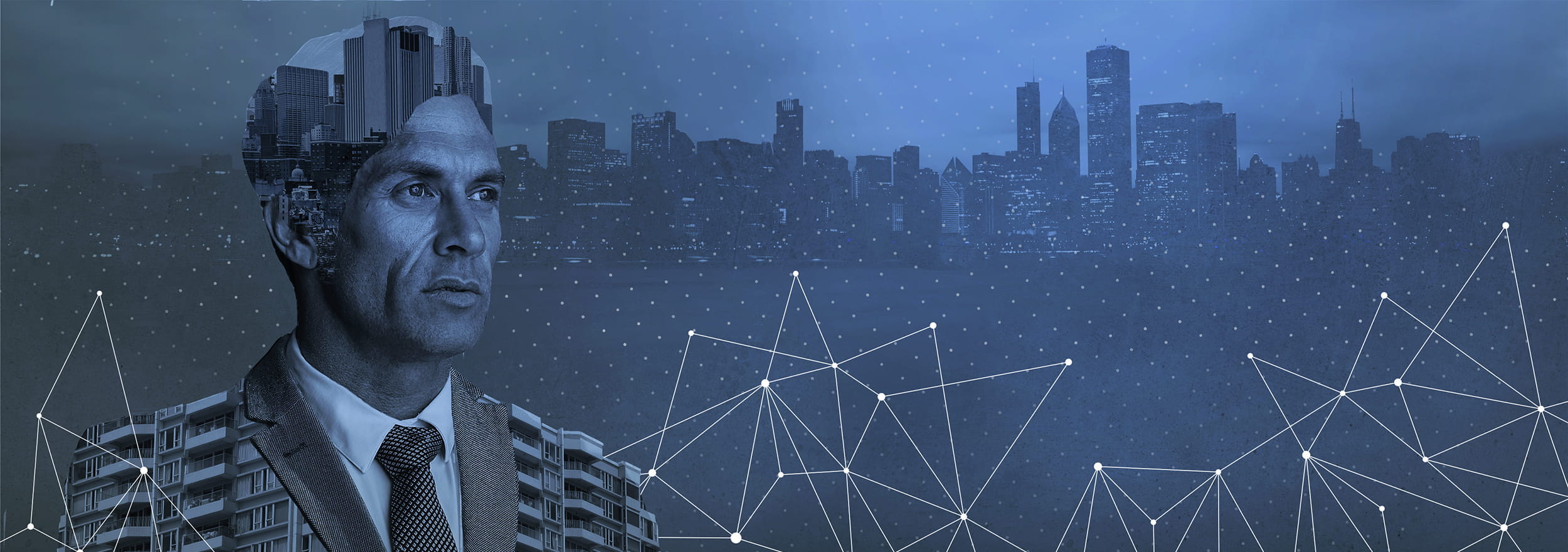 IPA Website About Us