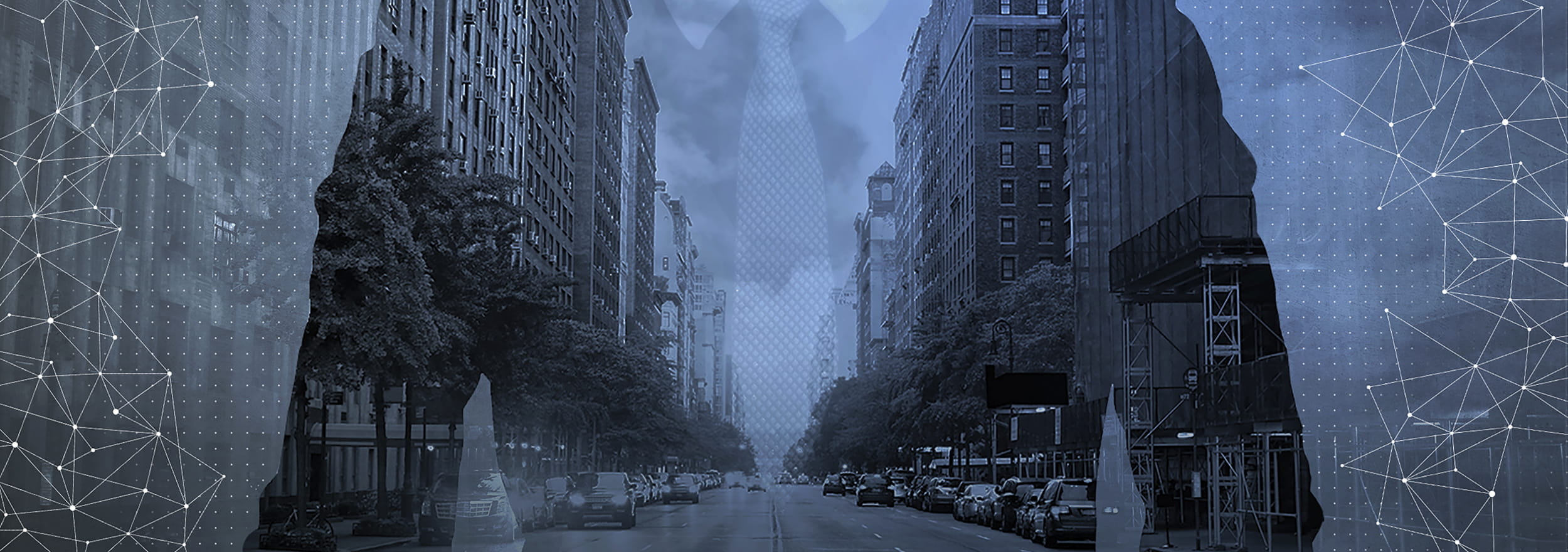 IPA Website About Us